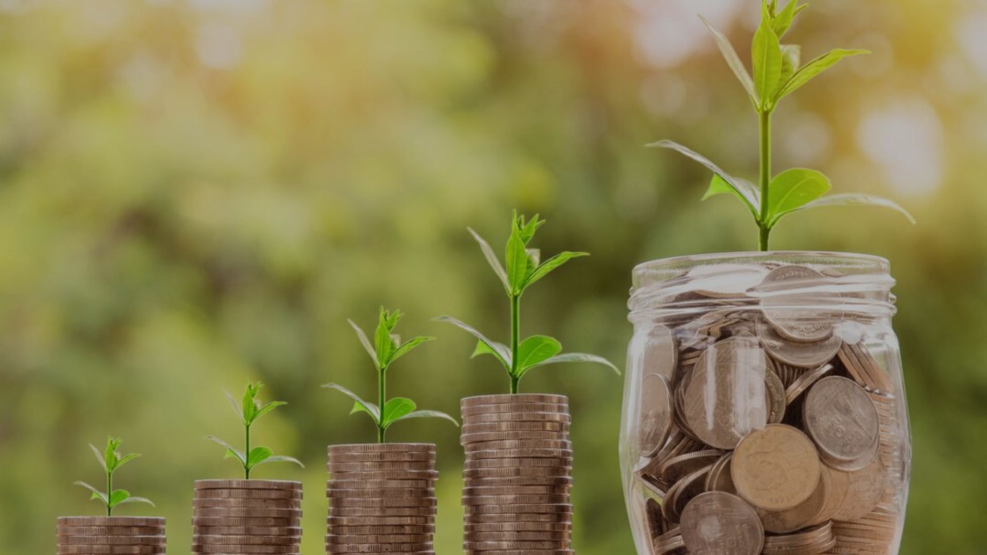 Prosperidade à luz da Bíblia: o que todo empreendedor cristão precisa entender